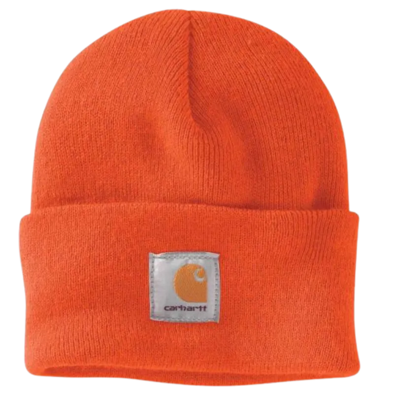 Carhartt Watch Cap | ASSTD Colors