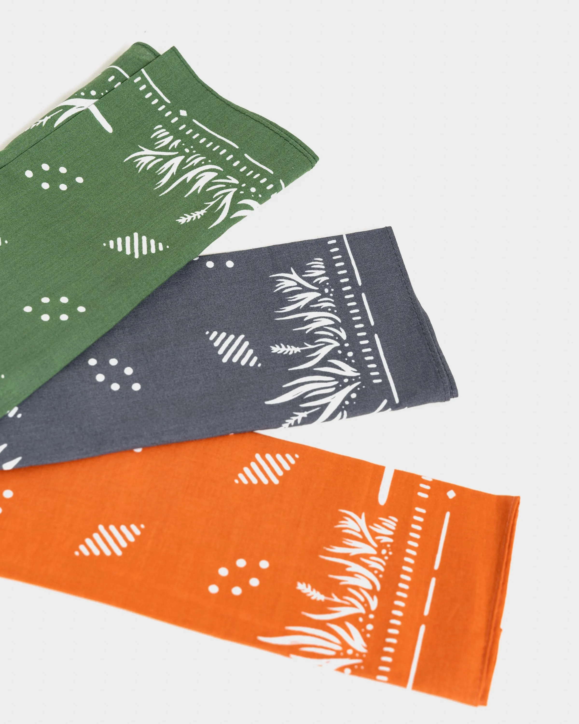 Prairie Bandana 3-Pack